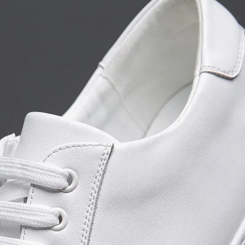 Stanley | Classic Sneakers